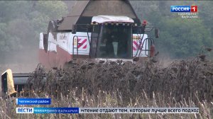 Земледельцы КБР собирают урожай подсолнечника