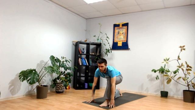 Эка пада каундиниасана 2. Как освоить?