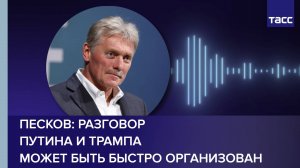 Песков: разговор Путина и Трампа может быть быстро организован