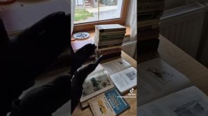 Wspaniała PRL vs zepsuta III RP