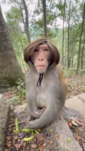 обаятельная