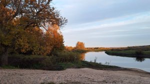 Осенний спиннинг. Рыбалка на Луге на силиконовые приманки.