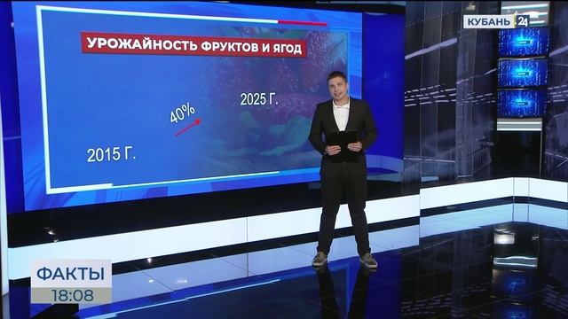 Как аграрии Кубани обеспечивают продовольственную безопасность России?