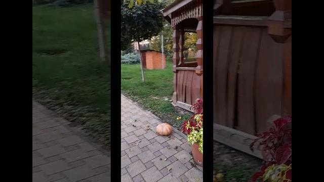 НЕЗАБЫВАЕМАЯ ПОЕЗДКА В ГОРЫ
🤩🤩🤩🤩🤩