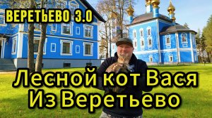 Лесной кот Вася из Веретьево | ВЕРЕТЬЕВО 3.0