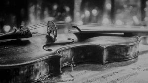 Твои обещания