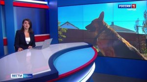 ВЕСТИ КРЫМ: выпуск 13.10.2025 09:30