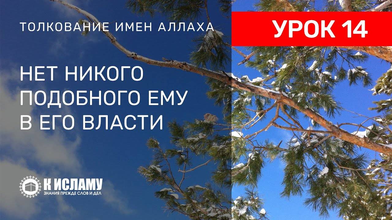 14) Нет никого подобного Аллаху в Его власти | Ринат Абу Мухаммад смотреть онлайн