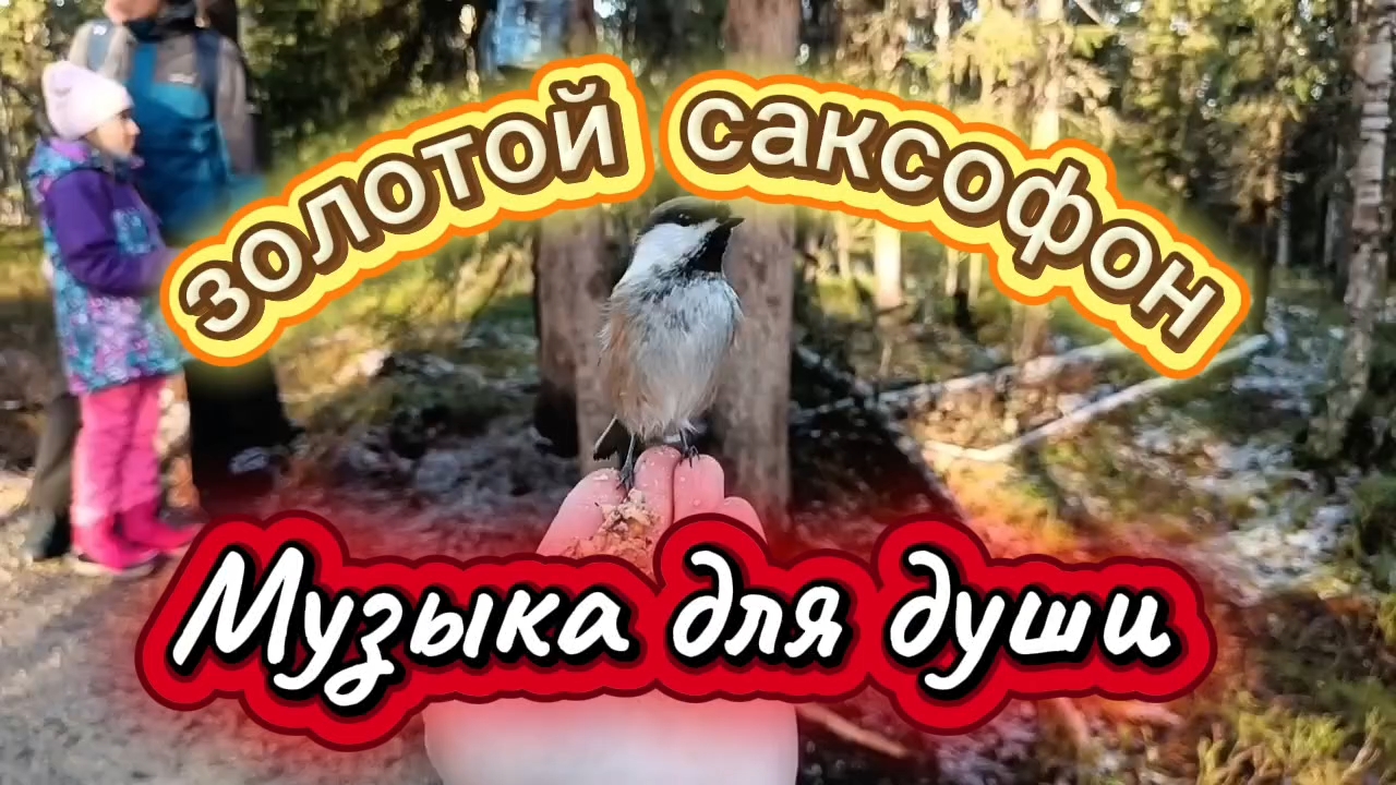 Музыка для души. Золотой саксофон.