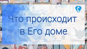 А он удобно устроился?! 🤔 | что происходит в его доме прямо сейчас