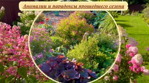 Итоги дачного сезона 2025г. Аномалии и парадоксы. Плюсы и минусы.