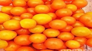 Охотничий салат