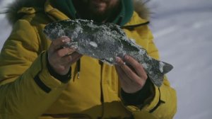 "НАРОДНЫЙ ПРОЕКТ АЛТАЙ"