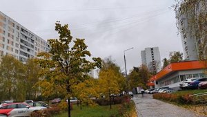 13 октября Москва утро.