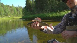 "МИР РЫБОЛОВА"