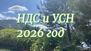 УСН и НДС 2026 год