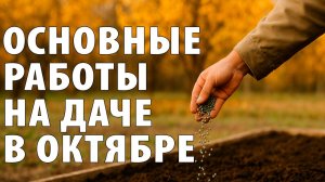 ОСНОВНЫЕ РАБОТЫ НА ДАЧЕ В ОКТЯБРЕ 2025