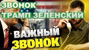 ТАМИР ШЕЙХ / АНДРЕЙ ПОНОМАРЬ. ЗВОНОК ТРАМП ЗЕЛЕНСКИЙ. ЖИЗНЬ ДЕШЕВЛЕ ЧАШКИ КОФЕ. сводки новости