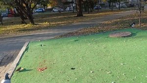 Сквер Победы. Город Тюмень.