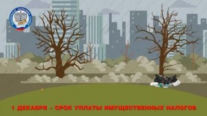 VID-20241018-WA0028 (1)