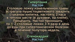 Астрагал - Чудо растение жизни