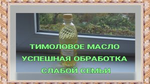 КАК ПРОЛЕЧИТЬ СЛАБУЮ СЕМЬЮ ОТ КЛЕЩА ВАРРОА.