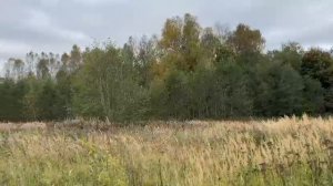 ЗУ :708 д. Мостки