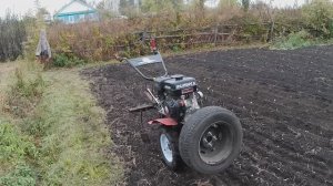 Посадил чеснок по-новому. Топинамбуру быть?