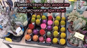 Обзор магазина Магнит Экстра. 👍🤗#обзор
