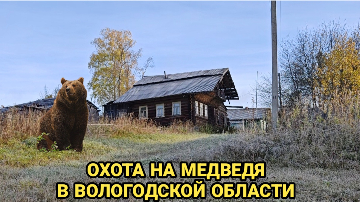 ОХОТА НА МЕДВЕДЯ, СРАЗУ ТРИ ЗВЕРЯ НА ПОЛЕ!!!