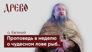 Проповедь в неделю о чудесном лове рыб.. /// иерей Евгений Гуреев