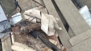 Муссон -1000 теплица , отзыв