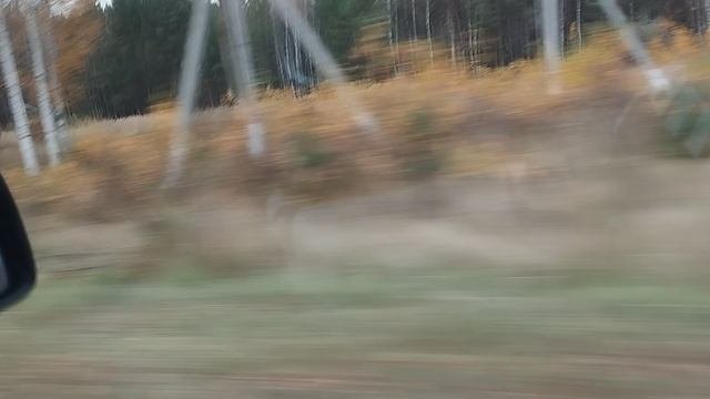 поездка Пенза Городище