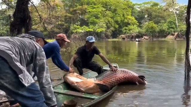 Caught a huge fish FishingAdventure HugeCatch CatchOfTheDay FishingLife GoneFishing