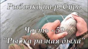 Рыбалка на р. Сура. Часть - 59. "Рыбка разная была".