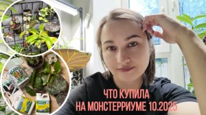 Что привезла с осеннего Монстерриума, мои первые подарки