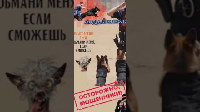 Свинорылые звонилки🐖