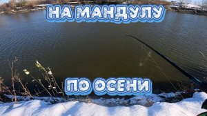 ПЛАЧУ 1000 р. КТО ПЕРВЫЙ ПОЙМАЕТ! Спиннинг в Октябре. Рыбалка Новосибирск