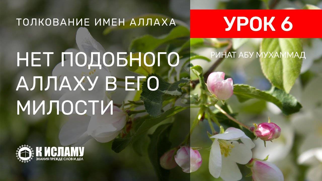 6) Нет ничего и никого подобного Аллаху в Его милости | Ринат Абу Мухаммад смотреть онлайн
