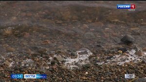 Вести-Томск, выпуск от 13.10.2025 09:30