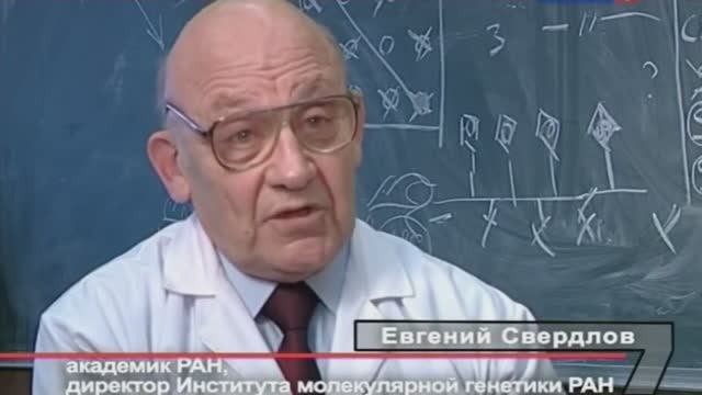Грех   ЧРЕВОУГОДИЕ