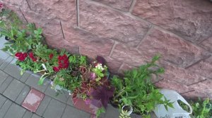 242. Все в делах