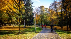 Прогулка в парке солнечным днём. Октябрь. Курск.