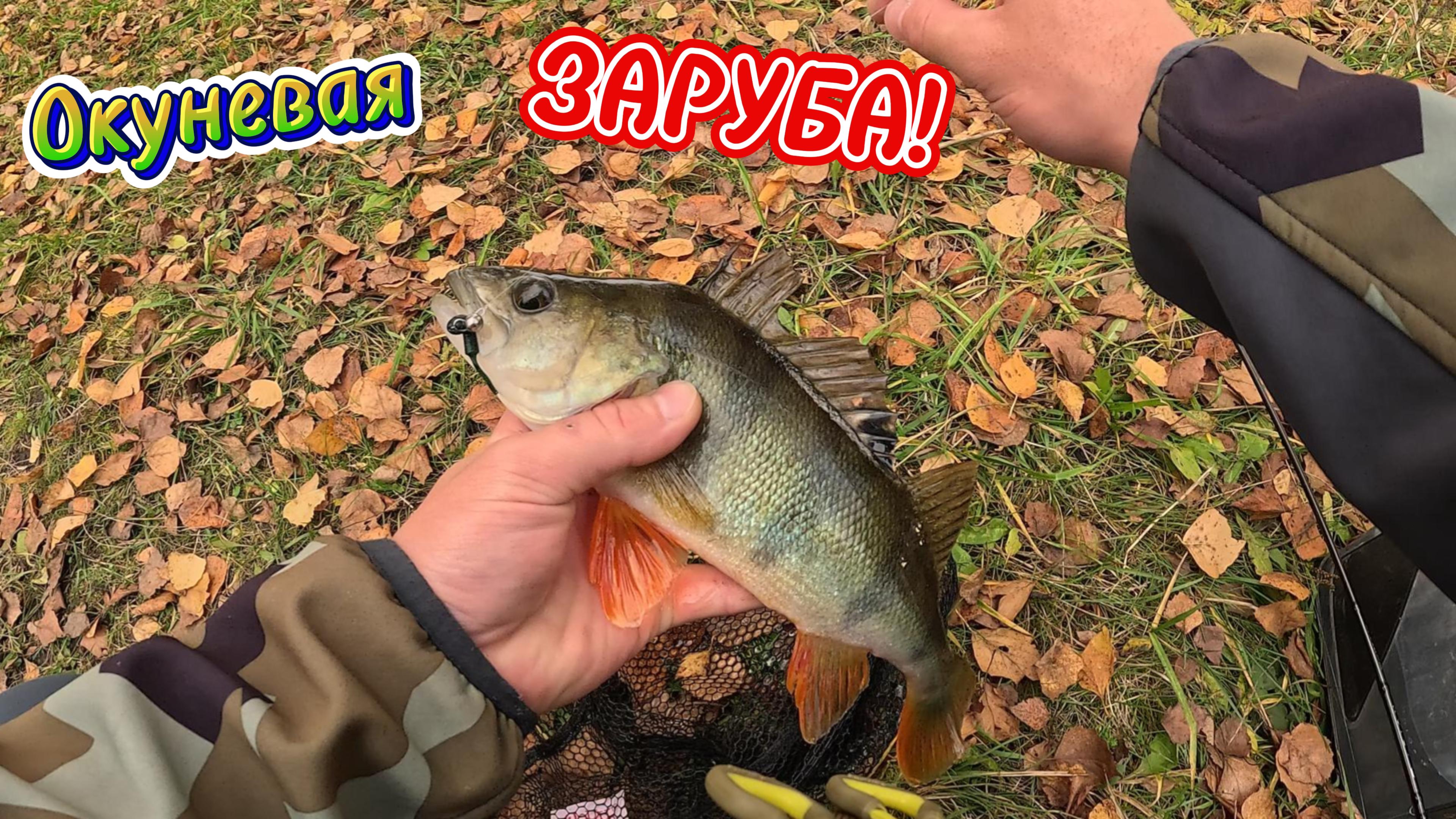 ЗАРУБА по ловле ОКУНЯ!