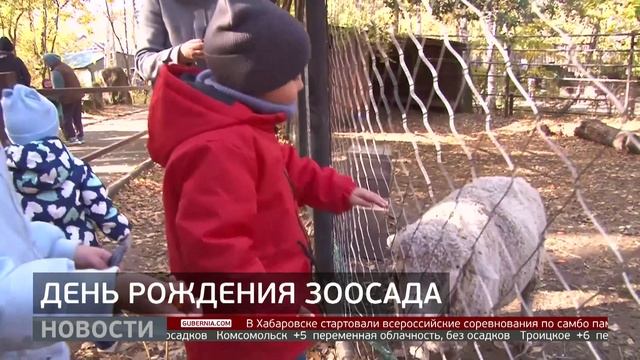 Зоосад «Приамурский»: 23-й день рождения. Новости. 11/10/2025. GuberniaTV