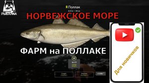 Для новичков!!! Норвежское море. Фарм на Поллаке