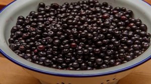 Пирог с черникой из бездрожжевого теста