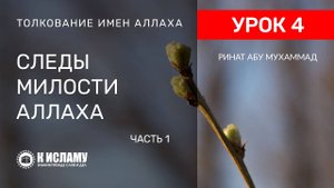 4) Следы милости Всевышнего Аллаха. Часть 1 | Ринат Абу Мухаммад