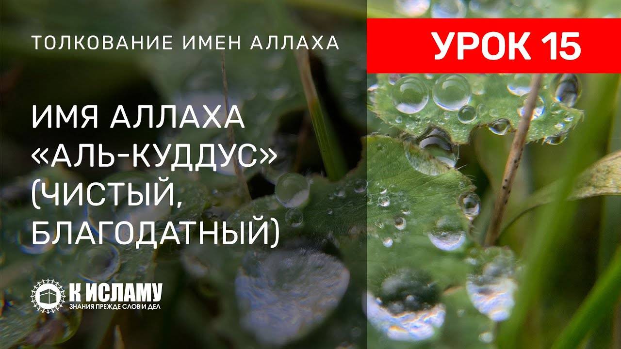 15) Имя Аллаха «аль-Куддус» — Чистый, Благодатный | Ринат Абу Мухаммад смотреть онлайн