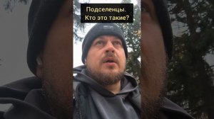 Подселенцы. Кто такие подселенцы? #Пробуждение #осознанность #сущности #тишина